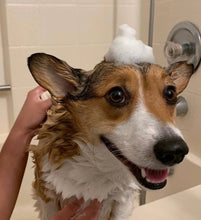 Load image into Gallery viewer, Adorable Dog's Insect Repelling Shampoo Bar - Super Dog