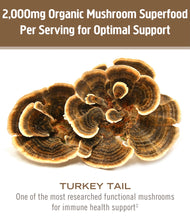 Load image into Gallery viewer, Healthy Life’s Turkey Tail Mushroom Capsules
