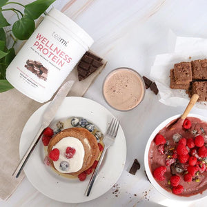 Healthy Life’s Organic Plant-Based Wellness Protein, Rich Chocolate