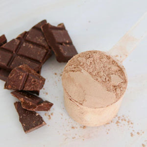 Healthy Life’s Organic Plant-Based Wellness Protein, Rich Chocolate